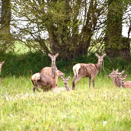 Les Rochers * Cerisy-la-Foret