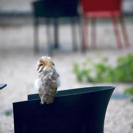 Les Rochers Σπίτι διακοπών *