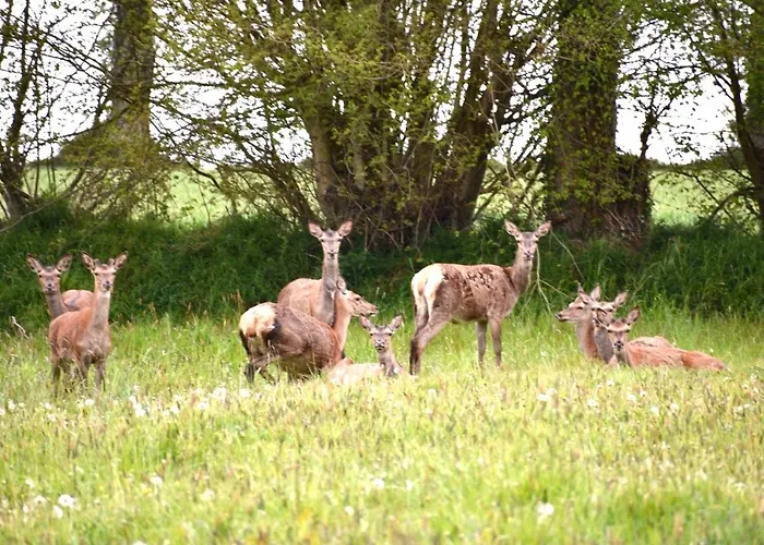 Les Rochers * Cerisy-la-Foret
