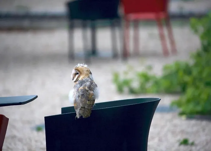 Les Rochers Σπίτι διακοπών *